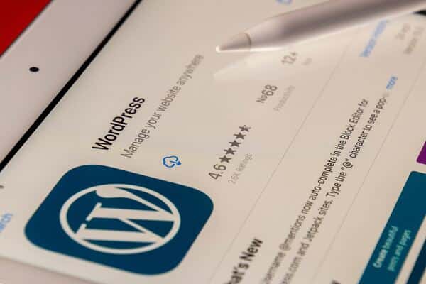 WordPress logo sur page